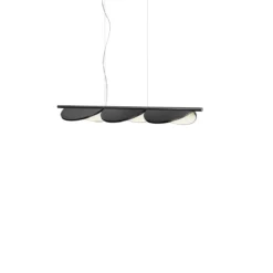 Almendra Linear