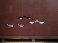 Almendra Linear