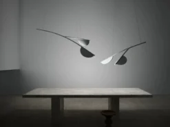 Almendra Organic