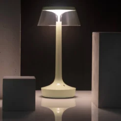 Bon Jour Unplugged