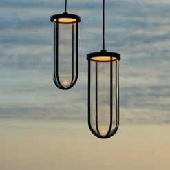 In Vitro Suspension
