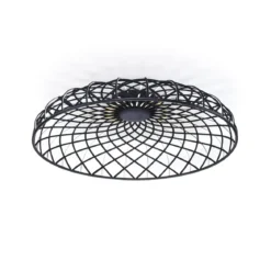 Skynest C
