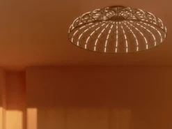Skynest C