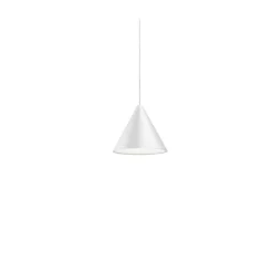 String Light Cone