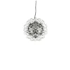 Taraxacum 88 Suspension 1