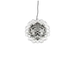 Taraxacum 88 Suspension 1