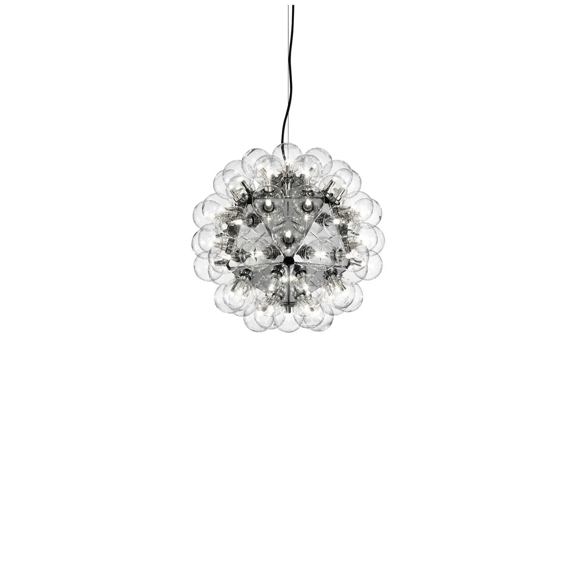 Taraxacum 88 Suspension 1