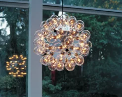 Taraxacum 88 Suspension 1