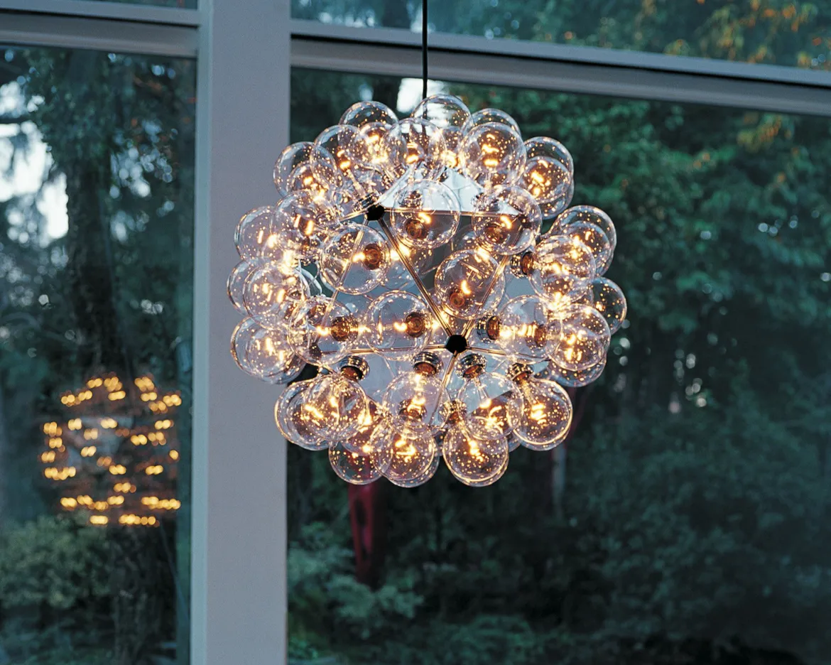 Taraxacum 88 Suspension 1