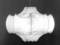 Viscontea