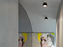 Wan Ceiling/Wall