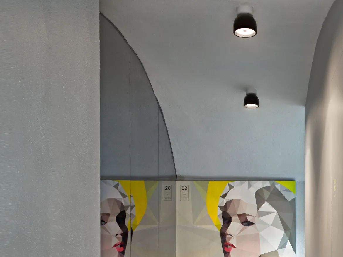 Wan Ceiling/Wall